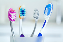 4 toothbrushes standing in a toothbrush holder.